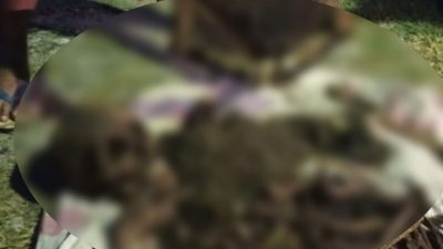 Warga Kota Palu Digegerkan Dengan Penemuan Kerangka Manusia