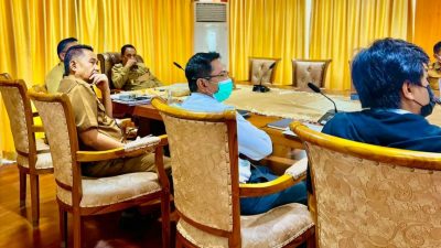 Pemprov Sulteng Ikuti FGD Percepatan Supply Listrik Untuk Industri Smelter di Indonesia