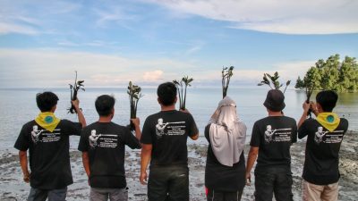 LJi Sulteng Bersama KPA Punggawa Peringati WED dengan cara Penanaman Mangrove