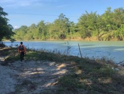 Tim SAR Cari Lansia yang Hilang saat Mencari Kayu Bakar di Hutan
