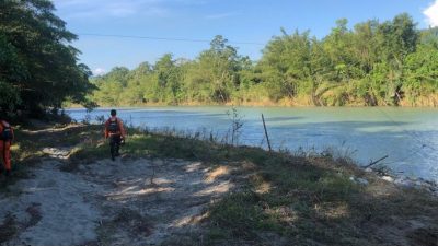 Tim SAR Cari Lansia yang Hilang saat Mencari Kayu Bakar di Hutan