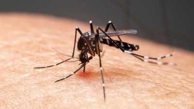 Kemenkes Sebut Ada 68.996 Kasus DBD di 2023