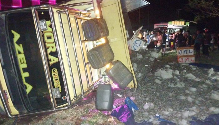 Breaking News : Mobil Truk Bermuatan Udang Terjungkal, 1 Orang Korban