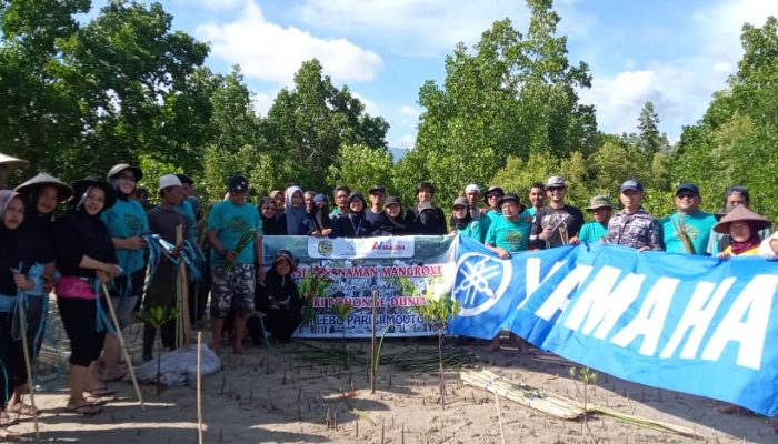 Peringati Hari Pohon Sedunia, Komunitas GPMT Parimo Lakukan Penanaman Manggrove